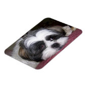 Shih Tzu Dog Magnet (Linke Seite)