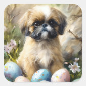Shih Tzu Dog mit Ostereier Urlaub Quadratischer Aufkleber (Vorderseite)
