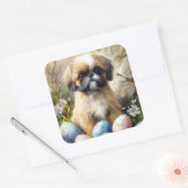 Shih Tzu Dog mit Ostereier Urlaub Quadratischer Aufkleber (Umschlag)