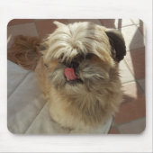 Shih Tzu dog mousepad (Vorne)