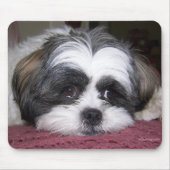 Shih Tzu Dog Mousepad (Vorne)
