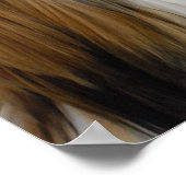 Shih Tzu Dog Poster (Ecke)