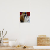 Shih Tzu Dog Poster (Küche)