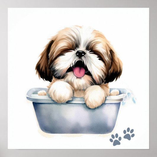 Shih Tzu Dog Poster (Vorne)