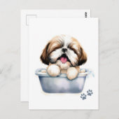 Shih Tzu Dog Postkarte (Vorne/Hinten)