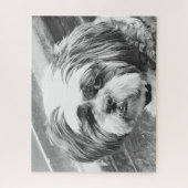 SHIH TZU DOG PUZZLE (Vertikal)