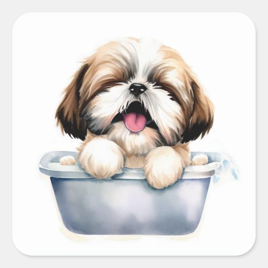 Shih Tzu Dog Quadratischer Aufkleber (Vorderseite)