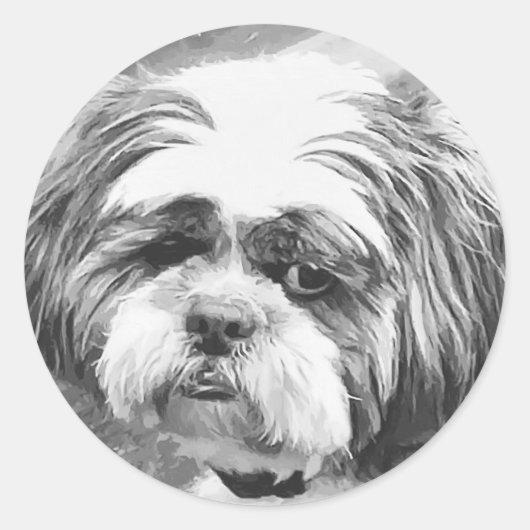 SHIH TZU DOG RUNDER AUFKLEBER (Vorderseite)