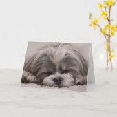 Shih Tzu Dog Sleeping Karte (Gelbe Blume)