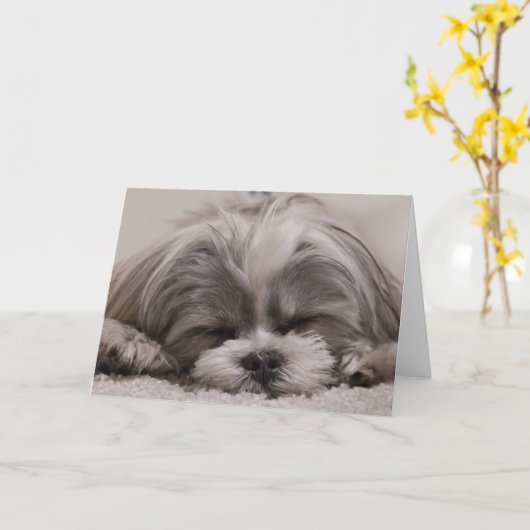 Shih Tzu Dog Sleeping Karte (Gelbe Blume)