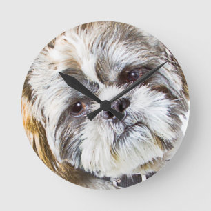Shih Tzu Dog Wall Clock Runde Wanduhr