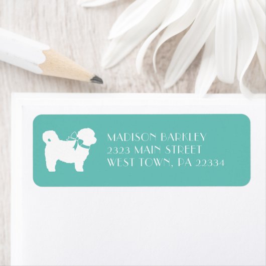 Shih Tzu Dog Welppy Teddy Bär Kurz Haar (Insitu)