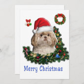 Shih Tzu Feiertagskarte (Vorne/Hinten)
