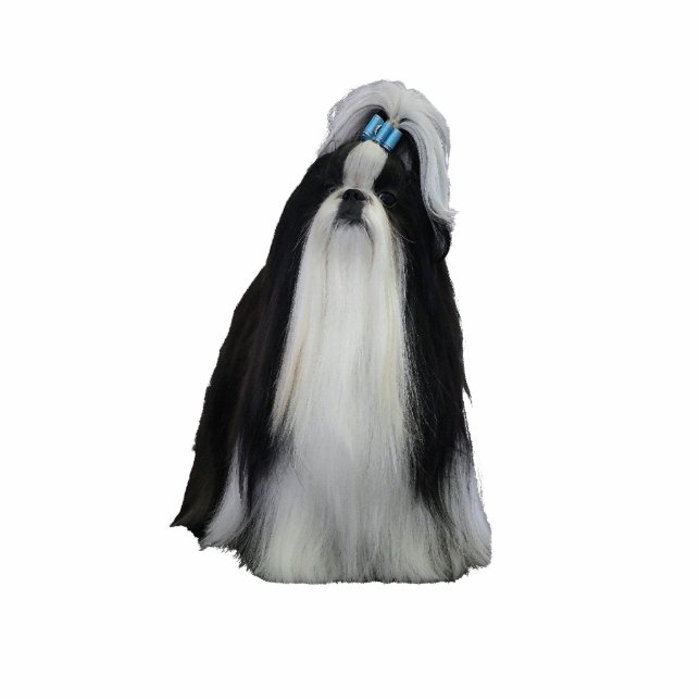 Shih Tzu Fotoskulptur Ornament (Vorne)