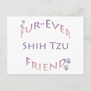 Shih Tzu Furever Friend Postkarte
