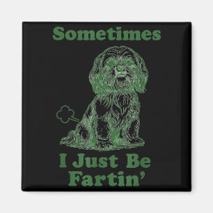 Shih Tzu Furz Lustiger Hundebesitzer Manchmal bin Magnet