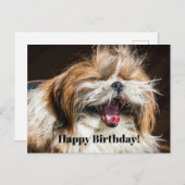 Shih tzu gähnend lachend lustig Glücklicher Geburt Postkarte (Vorne/Hinten)