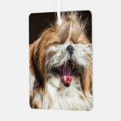 Shih tzu gähnend lachend lustig niedlich ornament aus metall (Vorderseite links)