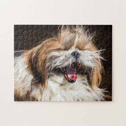Shih tzu gähnend lachend lustig niedlich puzzle (Horizontal)