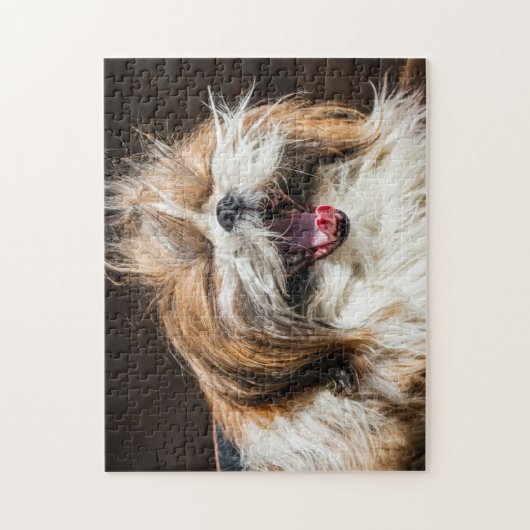 Shih tzu gähnend lachend lustig niedlich puzzle (Vertikal)