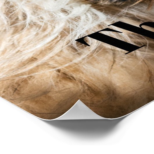 Shih tzu gähnend lachender lustiger Text anpassen Poster (Ecke)