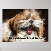 Shih tzu gähnend lachender lustiger Text anpassen Poster (Vorne)