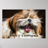 Shih tzu gähnende Lächeln Text anpassen Poster (Vorne)