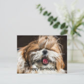Shih tzu gähnende Zunge lustig niedlich Glückliche Postkarte (Stehend Vorderseite)