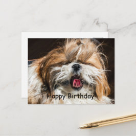 Shih tzu gähnende Zunge lustig niedlich Glückliche Postkarte