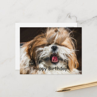 Shih tzu gähnende Zunge lustig niedlich Glückliche Postkarte