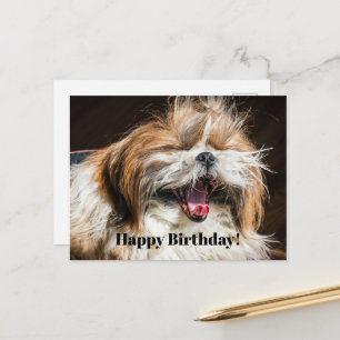 Shih Tzu gähnt lachend lustig Alles Gute zum Gebur Postkarte