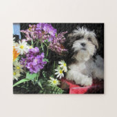 SHIH TZU! … gazuntite. Puzzle (Horizontal)