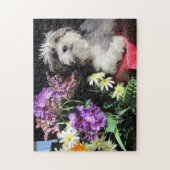 SHIH TZU! … gazuntite. Puzzle (Vertikal)