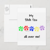 Shih Tzu geht durch Sie Postkarte (Vorne/Hinten)
