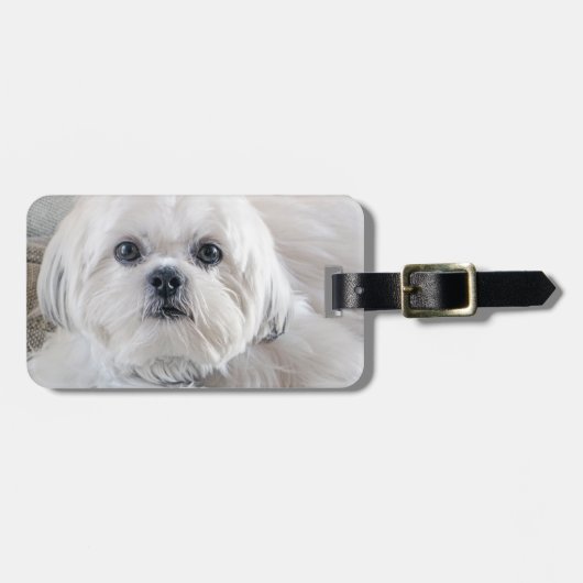 Shih Tzu Gepäckanhänger (Vorderseite horizontal)