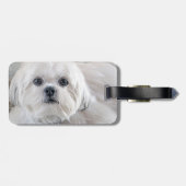 Shih Tzu Gepäckanhänger (Rückseite horizontal)