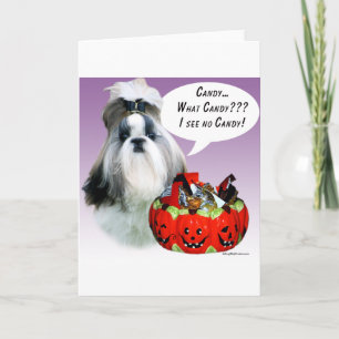 Shih Tzu (gepflegt) Halloween Candy Karte
