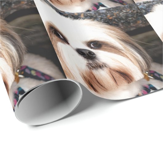 Shih Tzu Geschenkpapier (Rolleneckpunkt)