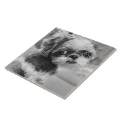 Shih Tzu Girl Black and White Keramik Tile Fliese (Seite)