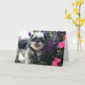 Shih Tzu Girl Grußkarte Karte (Gelbe Blume)