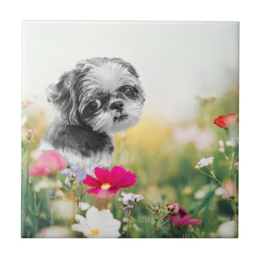 Shih Tzu Girl mit Blume Keramik Tile Fliese (Vorderseite)