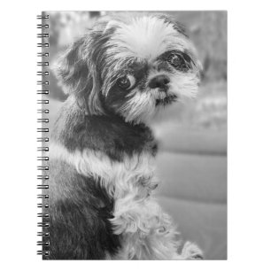 Shih Tzu Girl Notebook Notizblock