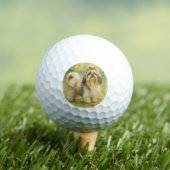 Shih Tzu Golfball (Insitu T-Shirt)