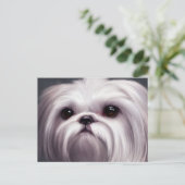 Shih Tzu Greetings Postcard Postkarte (Stehend Vorderseite)