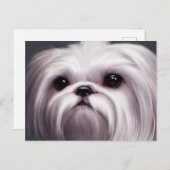 Shih Tzu Greetings Postcard Postkarte (Vorne/Hinten)
