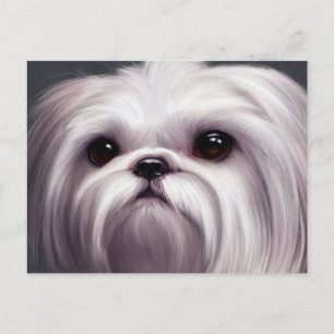Shih Tzu Greetings Postcard Postkarte