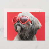 Shih Tzu Greetings Postcard Postkarte (Vorne/Hinten)