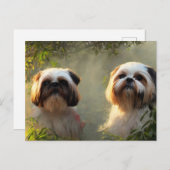 Shih Tzu Greetings Postcard Postkarte (Vorne/Hinten)