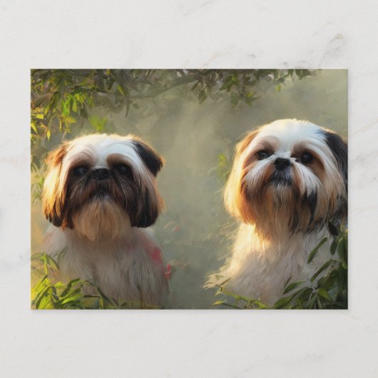 Shih Tzu Greetings Postcard Postkarte (Vorderseite)