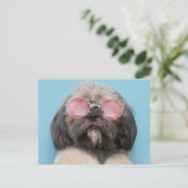 Shih Tzu Greetings Postcard Postkarte (Stehend Vorderseite)